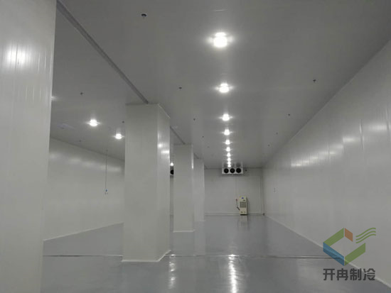 gmp診斷試劑冷庫(kù)專業(yè)設(shè)計(jì)安裝 gmp診斷試劑冷庫(kù)專業(yè)設(shè)計(jì)安裝