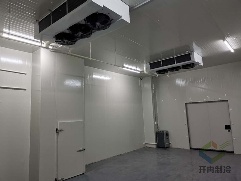 gmp診斷試劑冷庫(kù)專業(yè)設(shè)計(jì)安裝 gmp診斷試劑冷庫(kù)專業(yè)設(shè)計(jì)安裝