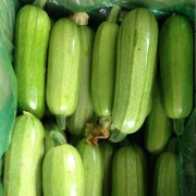 西葫蘆(葫蘆瓜)冷庫建造價格大概是多少