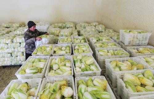 1000噸娃娃菜保鮮庫 1000噸娃娃菜保鮮庫