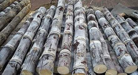 1573201721427647.jpg timg (4).jpg