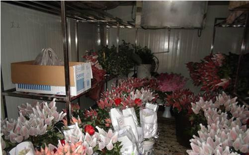 玫瑰花冷庫 玫瑰花冷庫