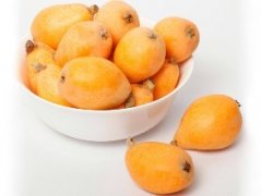 枇杷冷庫貯藏技術(shù)介紹,枇杷冷庫造價是多少