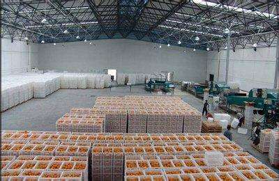 2500立方水果冷庫 2500立方水果冷庫