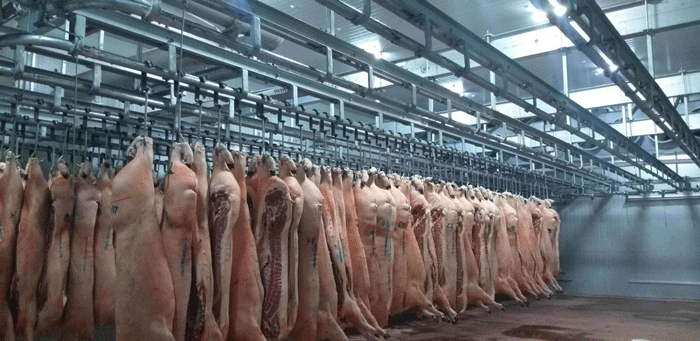 低溫速凍肉類冷庫 低溫速凍肉類冷庫