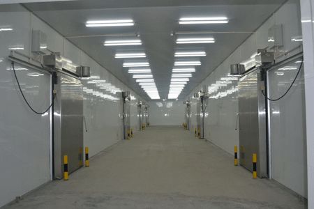 上海1500平米綜合型冷庫 上海1500平米綜合型冷庫