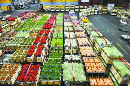 800平米鮮花保鮮冷庫(kù) 800平米鮮花保鮮冷庫(kù)