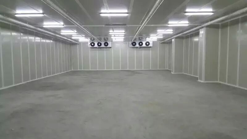 蘋果氣調(diào)冷庫 蘋果氣調(diào)冷庫