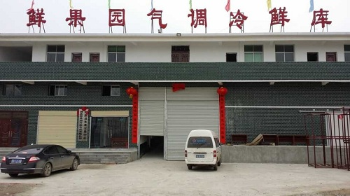 蘋果氣調(diào)冷庫 蘋果氣調(diào)冷庫