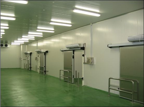 2500噸牛肉冷凍庫(kù),冷庫(kù)價(jià)格及能耗 2500噸牛肉冷凍庫(kù),冷庫(kù)價(jià)格及能耗