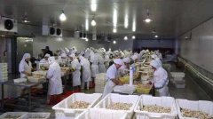 水產海鮮冷庫工程建造需要準備多少資金？