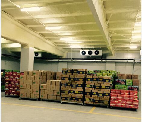 3000平米水果保鮮庫 3000平米水果保鮮庫