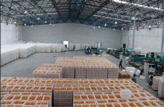 新建一個(gè)存放丑橘保鮮冷庫,大概需要多少造價(jià)?