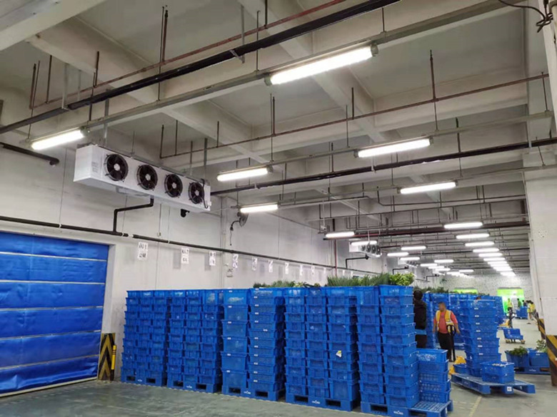 5000平米生鮮電商冷庫(kù)設(shè)計(jì)建造標(biāo)準(zhǔn)造價(jià)核算 5000平米生鮮電商冷庫(kù)設(shè)計(jì)建造標(biāo)準(zhǔn)造價(jià)核算