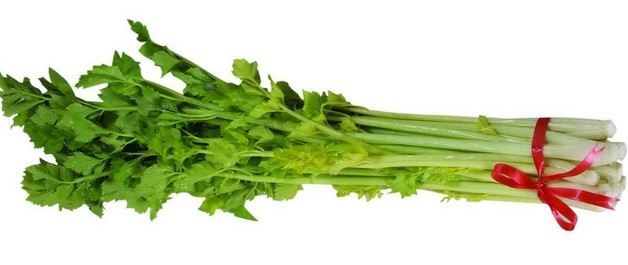 芹菜在冷庫(kù)能儲(chǔ)存多久