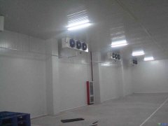 GSP醫療冷庫2-8℃冷庫建設報價,案例