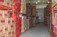 建造一個(gè)獼猴桃冷庫(kù)需要投資多少錢(qián)?