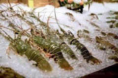 海鮮保存溫度?海鮮冷凍庫(kù)價(jià)格多少錢(qián)