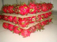 做一個(gè)水果氣調(diào)保鮮庫(kù)安裝大概需要多少錢(qián)?