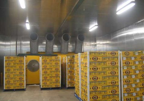 300噸葡萄保鮮庫造價(jià),葡萄冷庫保鮮期及溫度