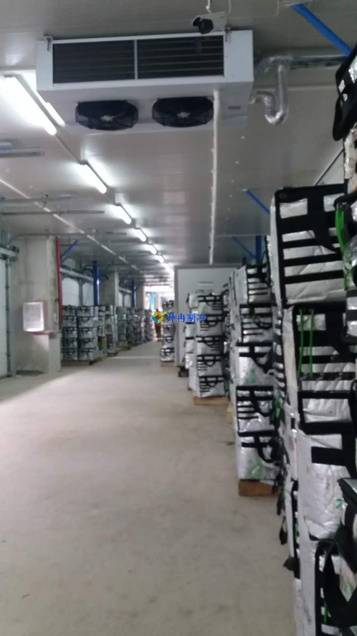 豬肉加工車間冷凍庫建設,排酸冷庫設計規劃方案