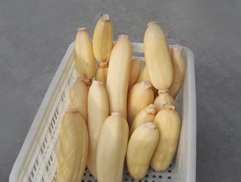 1500立方蓮藕冷庫(kù)建造,蓮藕保鮮庫(kù)造價(jià)怎么算