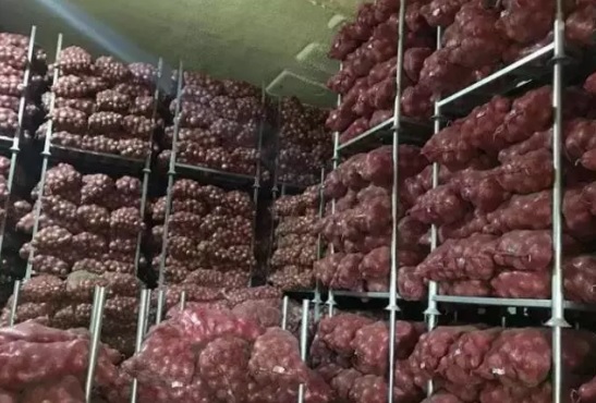 洋蔥在冷庫存儲多久,洋蔥冷藏庫安裝設(shè)計及造價