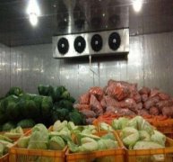 50噸蔬菜保鮮庫(kù)決定造價(jià)的因素有哪些?