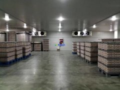 安裝1300噸水果冷藏庫預算是多少？后期用電能耗大嗎？