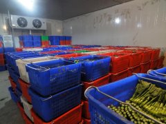 武漢7000立方米果蔬冷庫(kù)安裝需要多少錢?