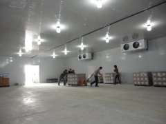 420平米的玉米恒溫庫(kù)安裝價(jià)格怎么計(jì)算?保鮮冷庫(kù)工程改建