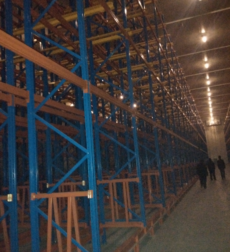 7000平生鮮水果冷庫建設方案，冷庫怎么設計報價？