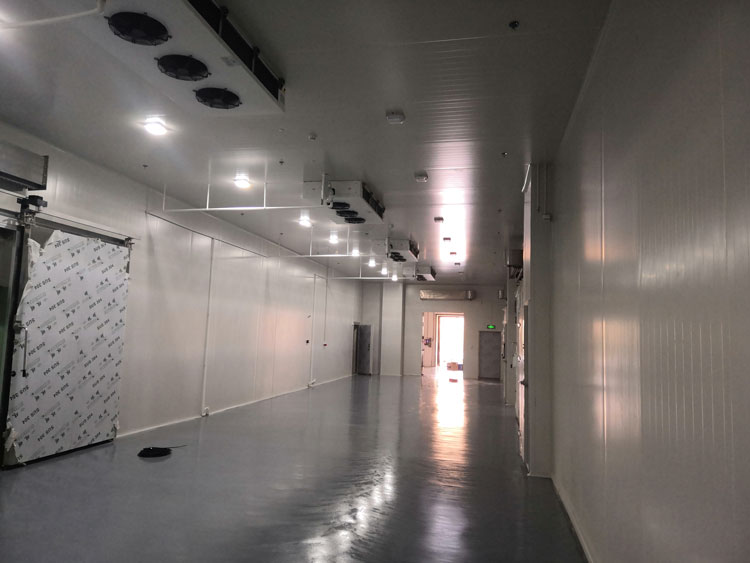 3000平米廠房改建冷凍庫建造報價及廠家設(shè)計(jì)方案