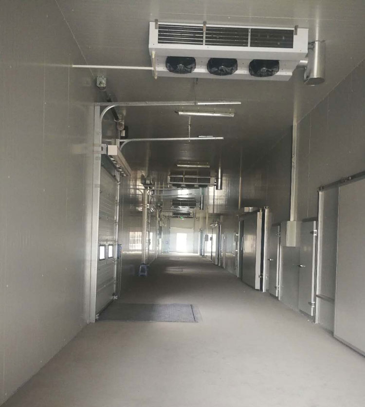 5000m3冷鏈物流工程建設,低溫物流倉庫安裝制冷設備投資預算