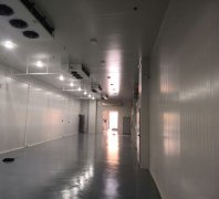 -20℃、-30℃凍庫安裝費用報價,500平米低溫冷凍庫