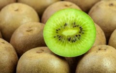 獼猴桃氣調保鮮冷庫造價，氣調庫哪家好